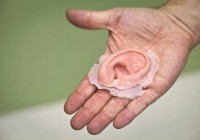 orecchio 3D